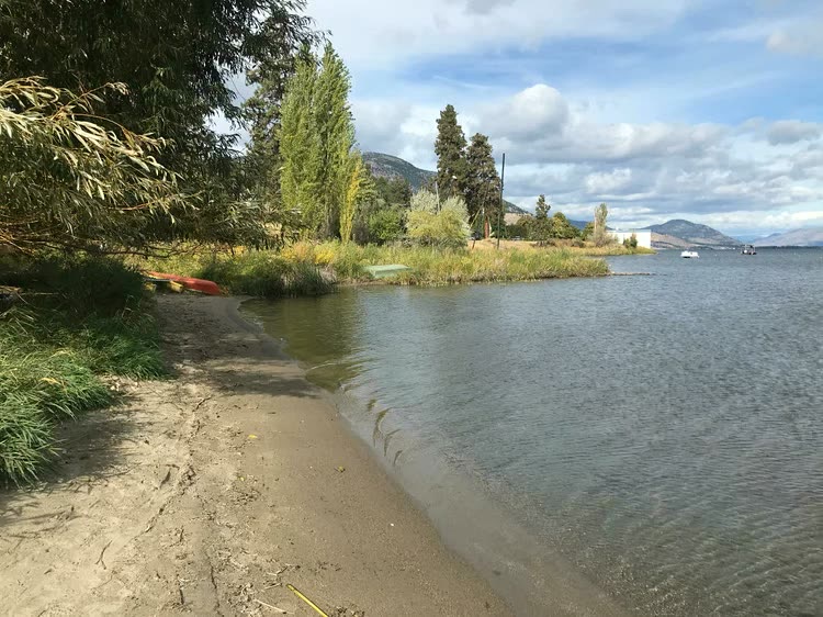 Pioneer Park