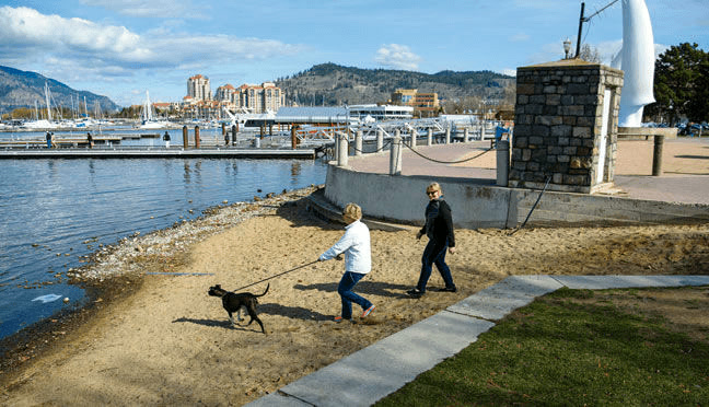Downtown Sails Dog Beach (Kerry Park)