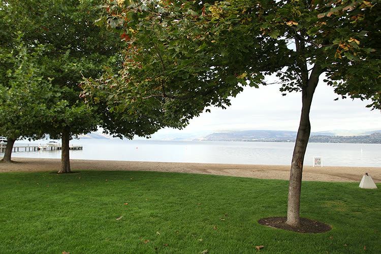 Sarsons Beach Park