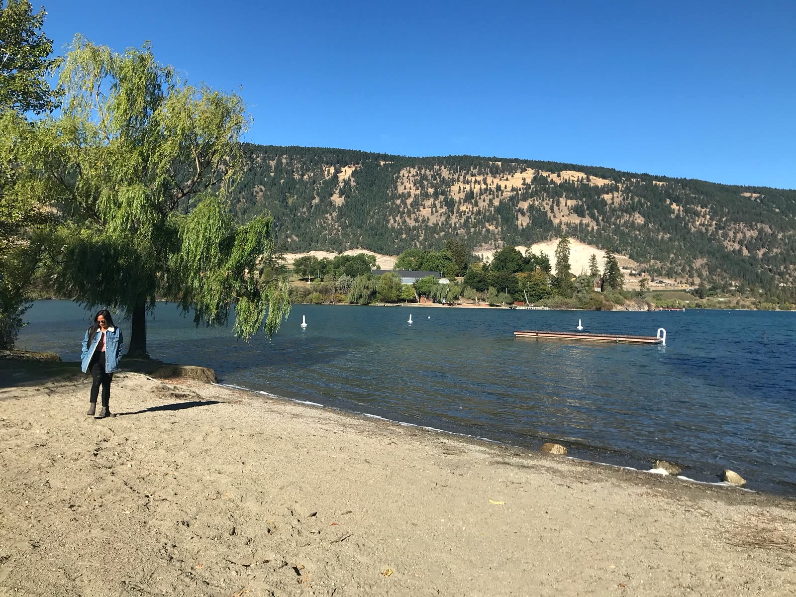 Pioneer Park