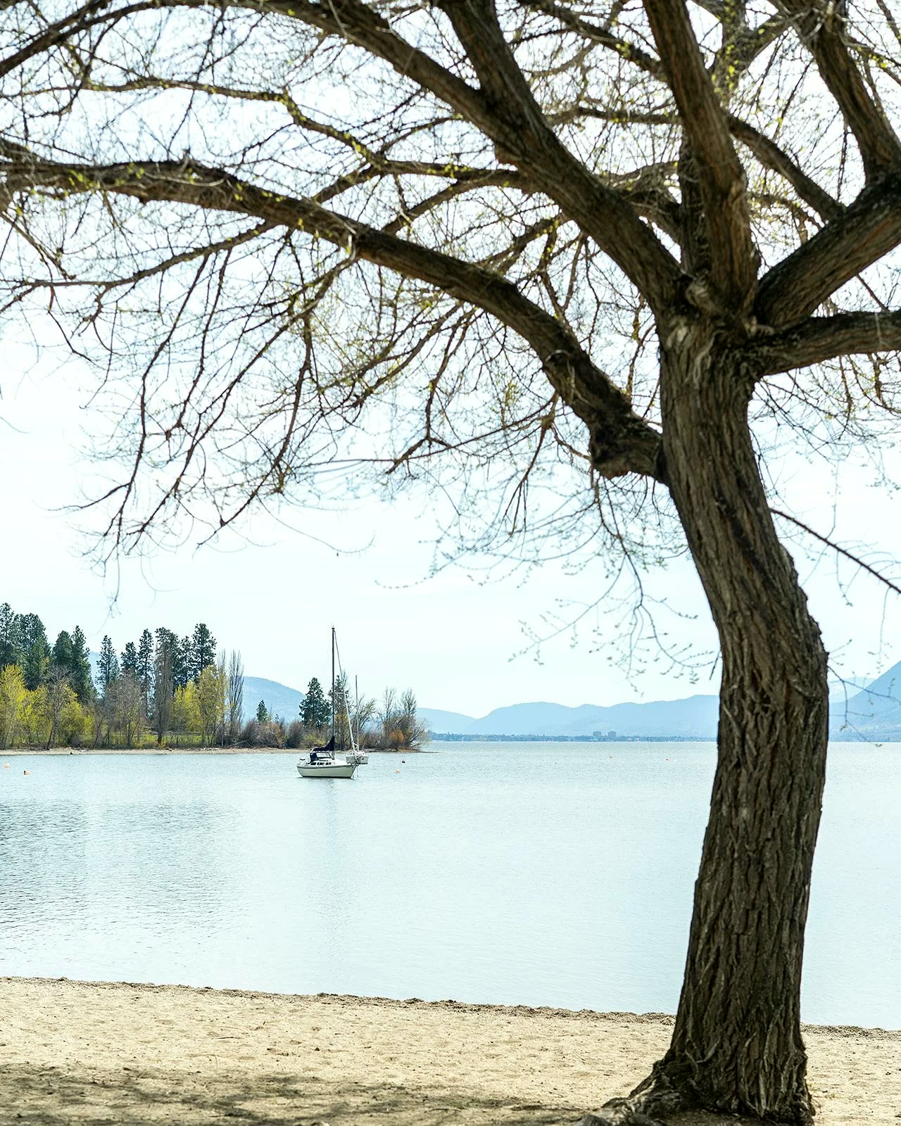 Manitou Park