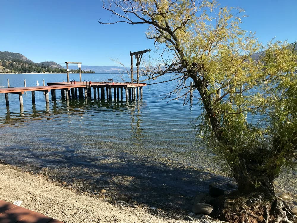Swim Bay