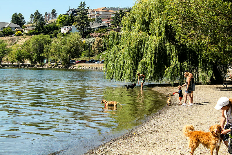 Gellatly Dog Beach