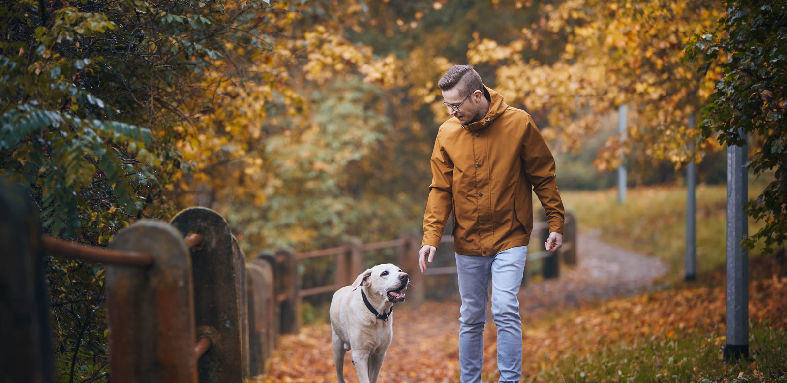 A man walking his dog on a path through fall leaves