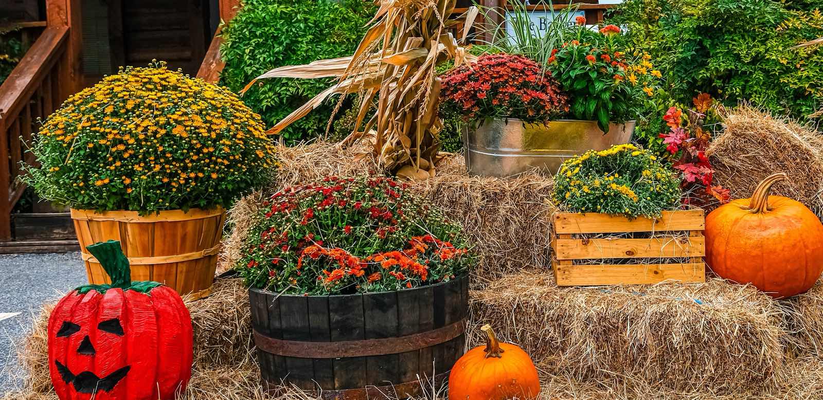 Hay bales, pumpkins and mums set out at a fall fair