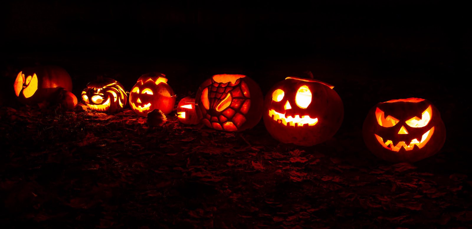 A row of carved jack-o-lanterns glowing outdoors at night