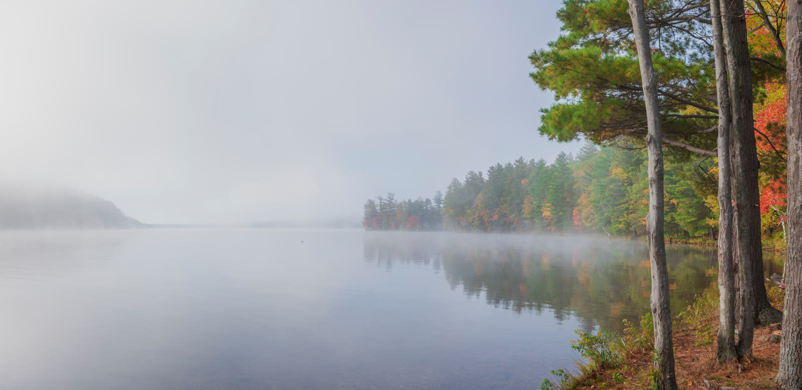A misty lake at dawn, with fall colour on the far shore