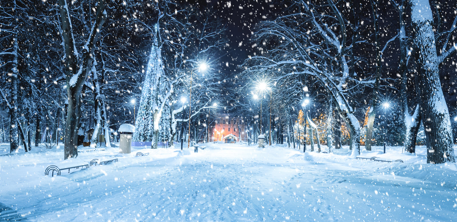 A snowy park path lit with lamps and holiday lights at night