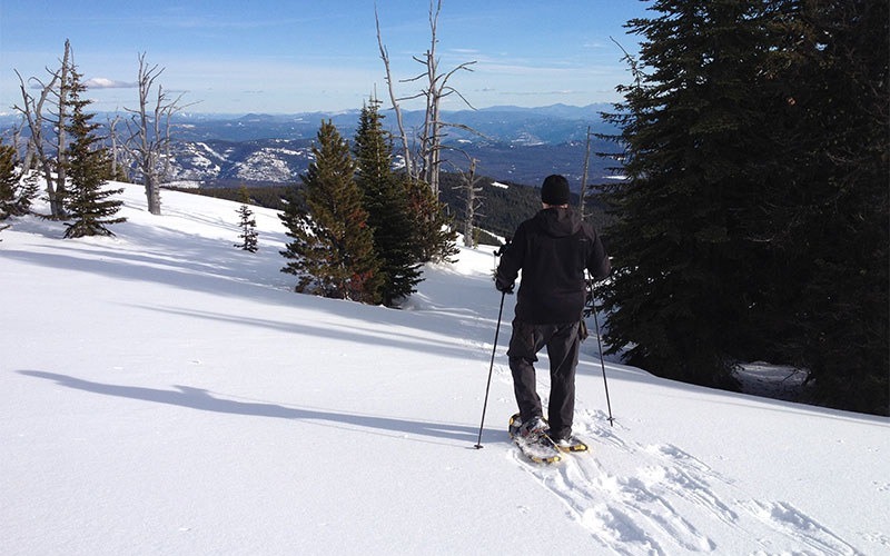 Baldy Snowshoe Trails