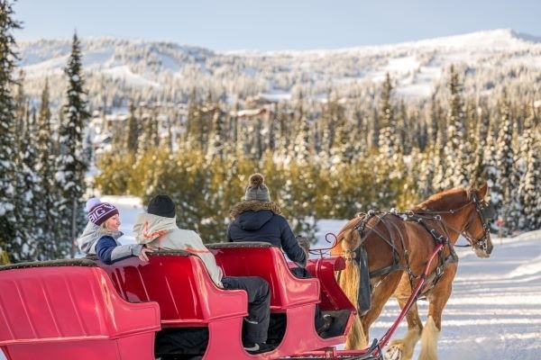 Big White Horse-Drawn Sleigh Rides & Dining Tours