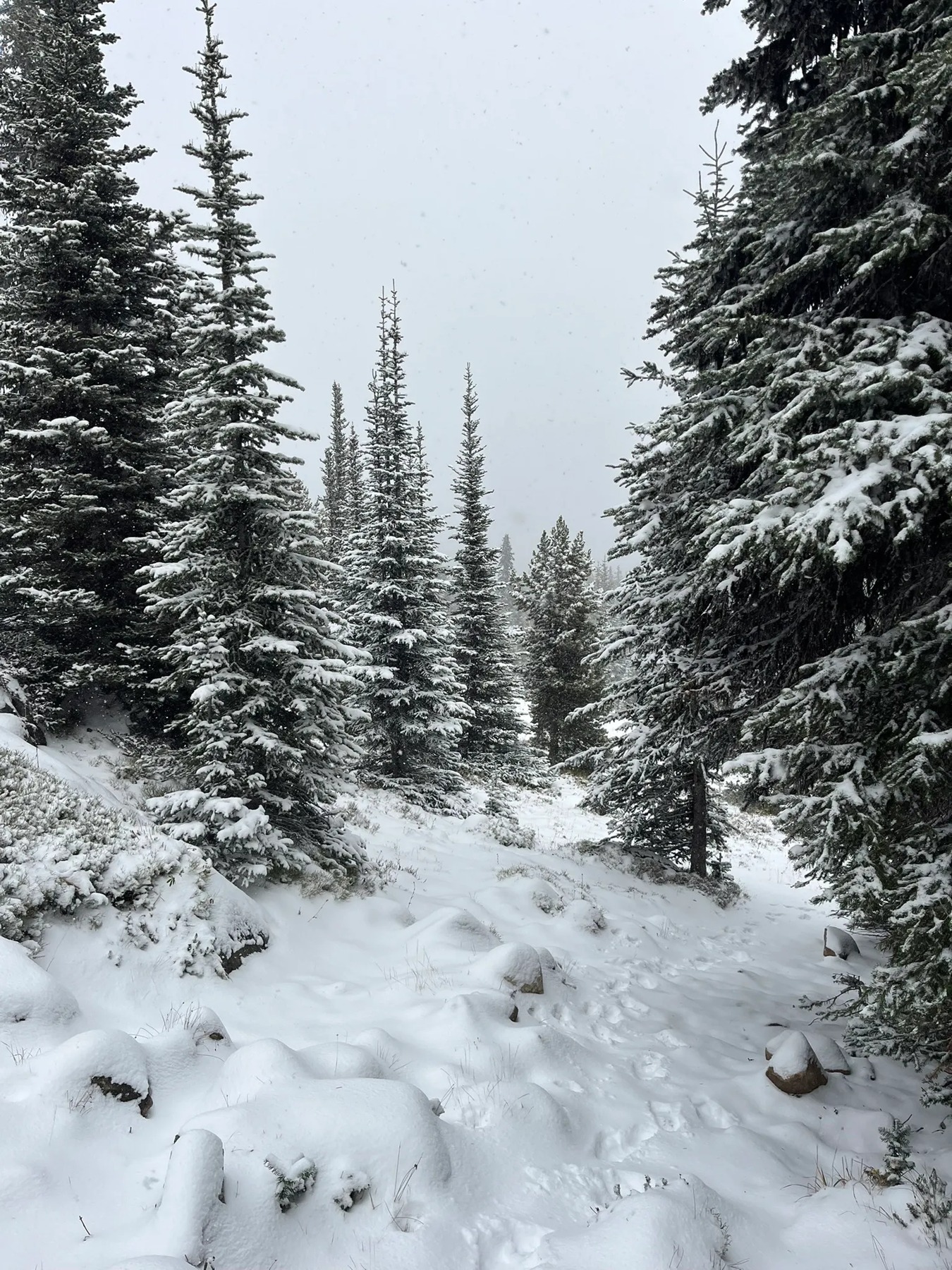 Brent Mountain Trail