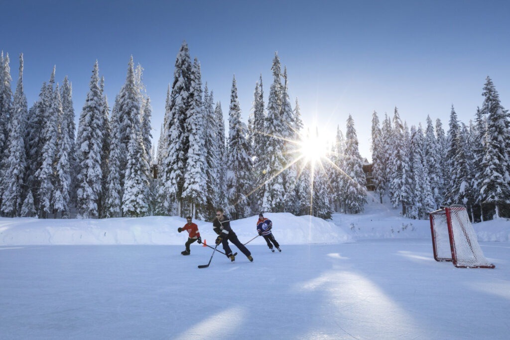 Brewer's Pond Skating – SilverStar