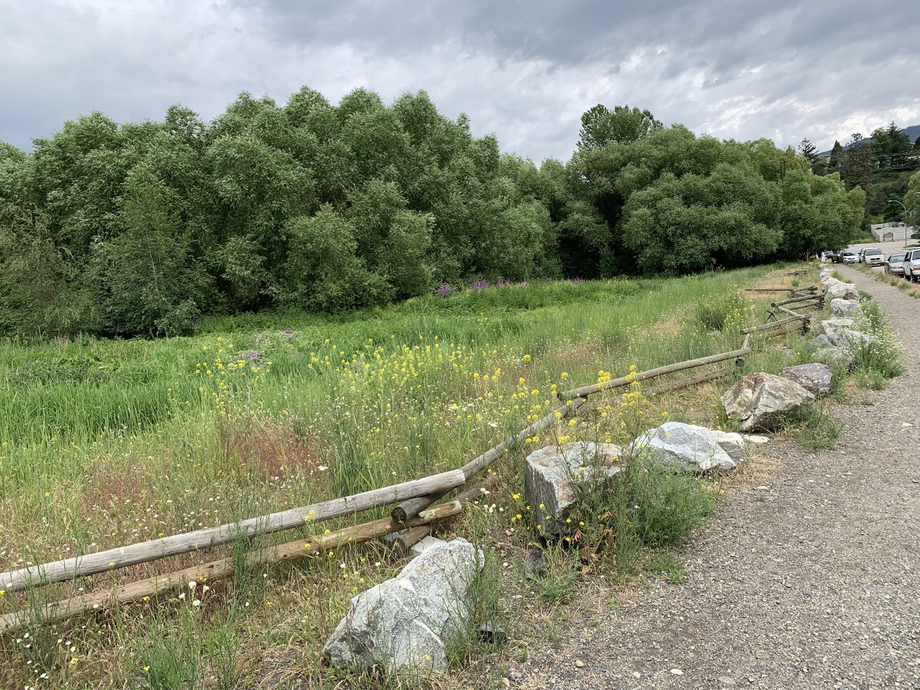 BX Creek Wetland Boardwalk & Vernon Heronry