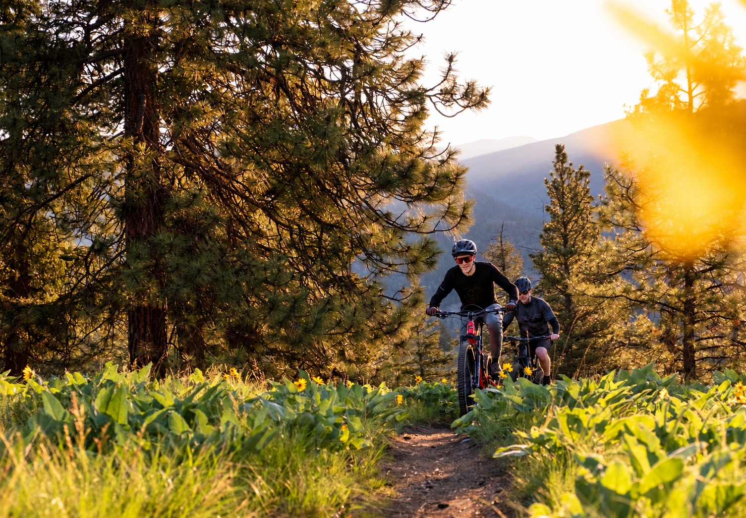 Campbell Mountain