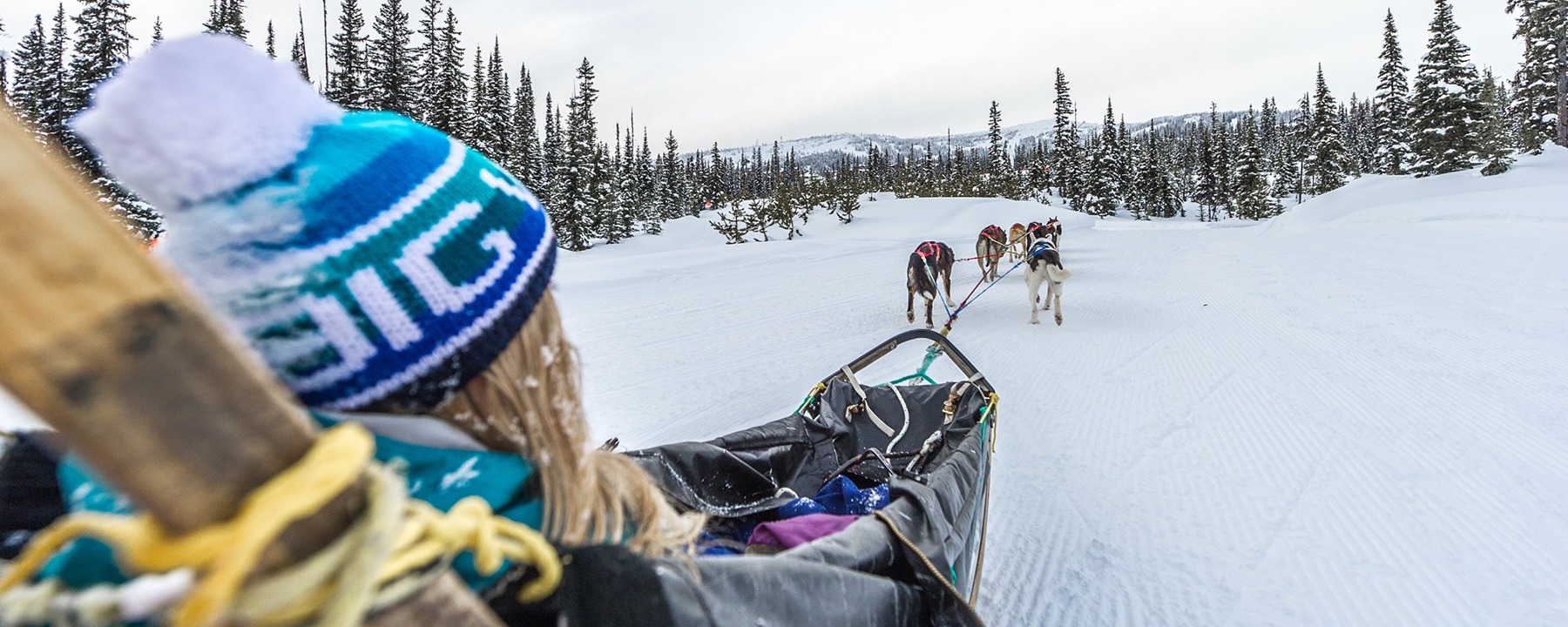 Candle Creek Kennels – Dog Sled Tours at Big White