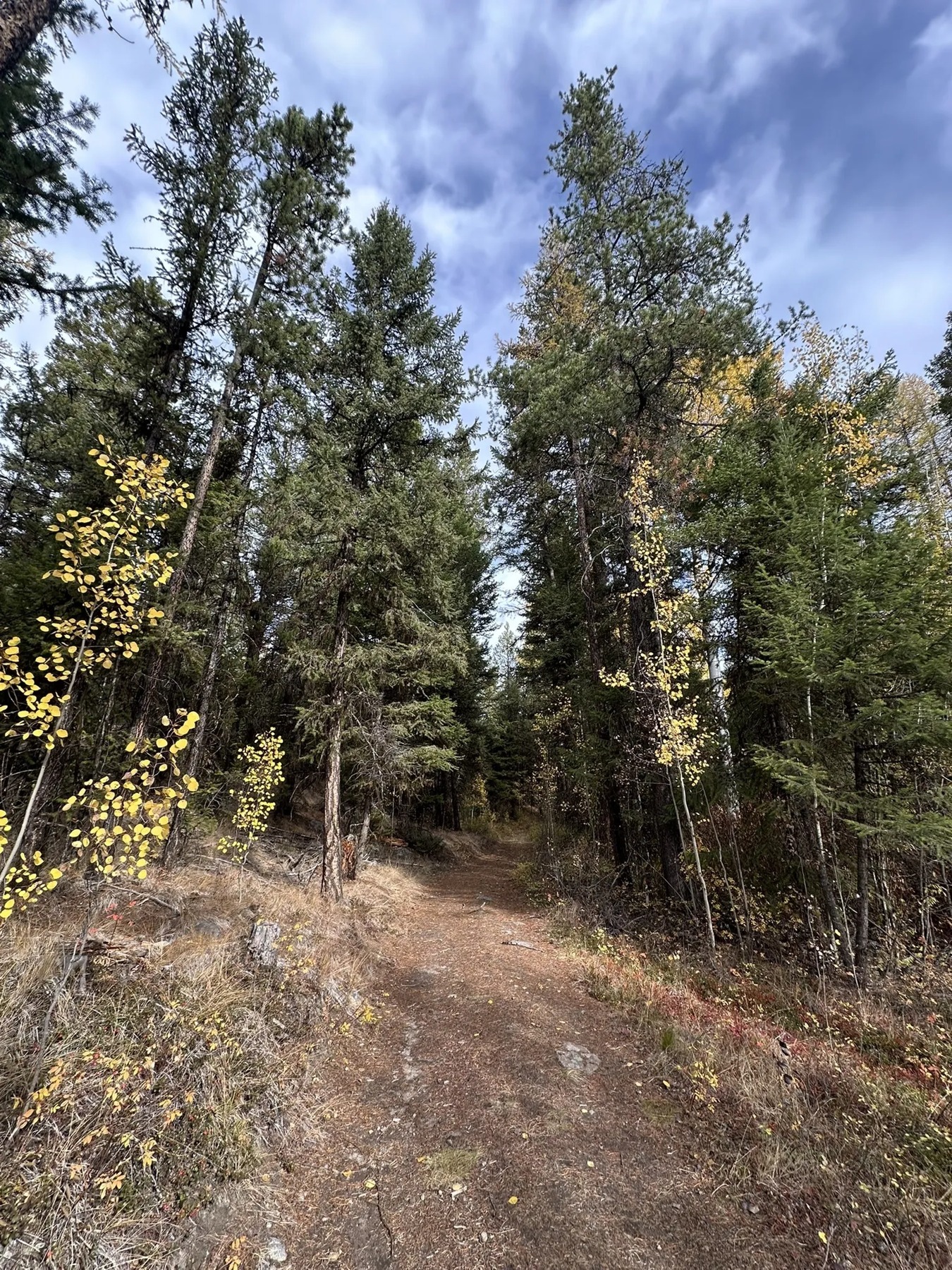 Carmi Recreational Trails