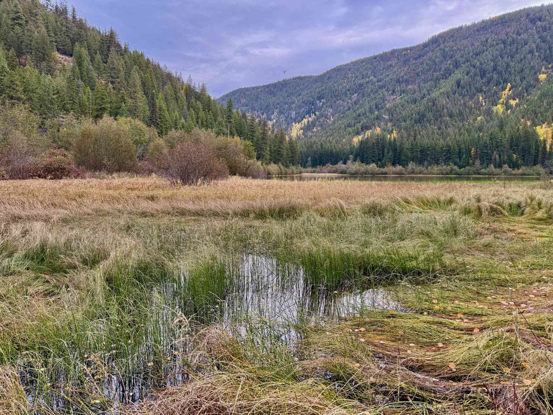 Clover Creek – Lacoma Lake Trail (Trepanier Provincial Park)