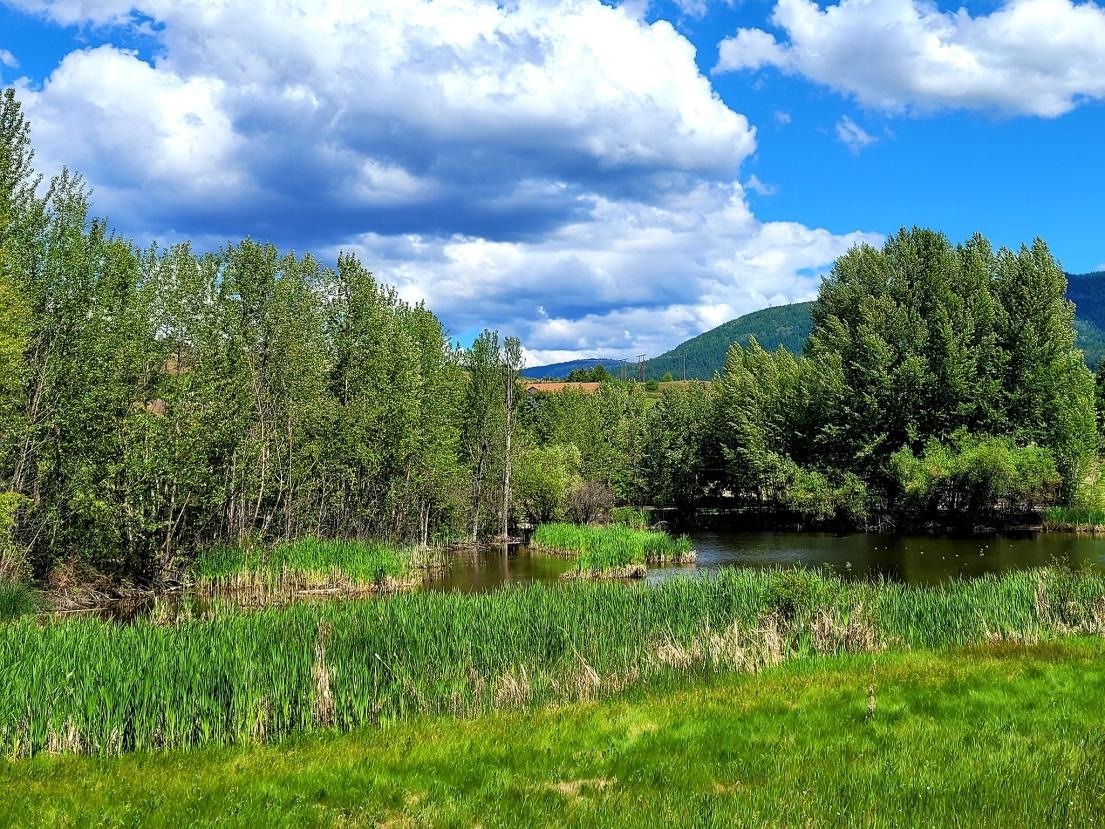 Cools Pond Park