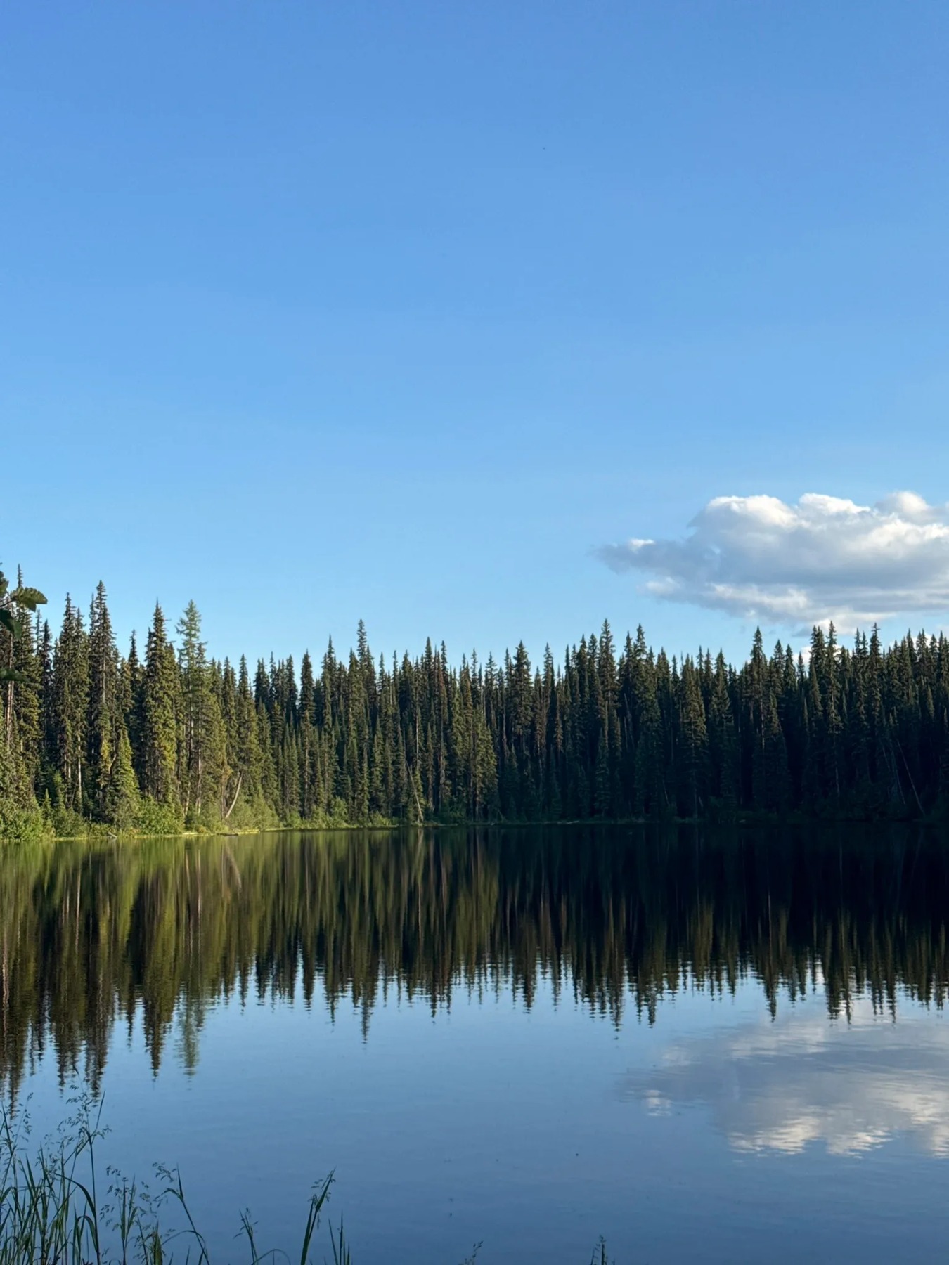 Denison Lake Trail