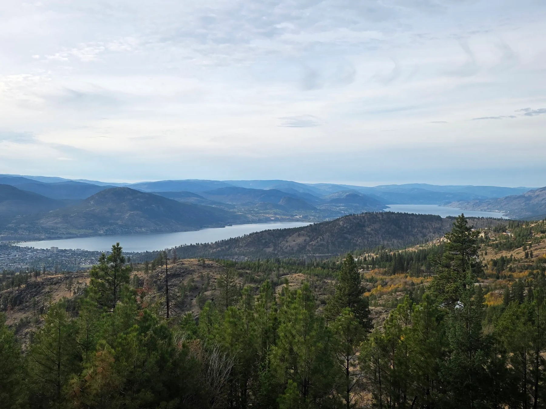 Ellis Ridge & Canyon View Trails