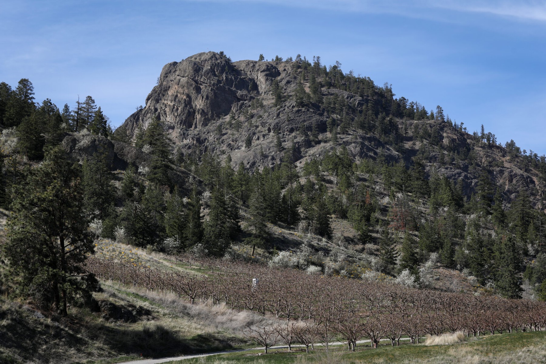 Giant's Head Mountain Park