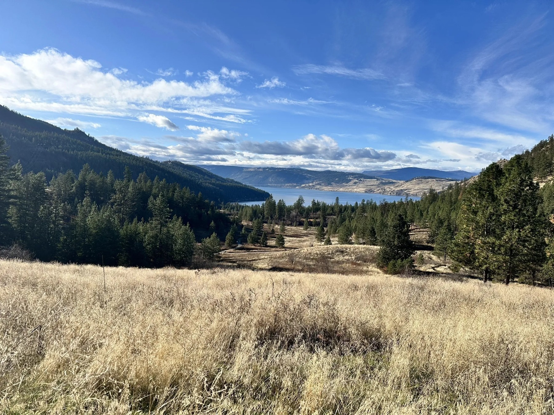 High Rim Trail