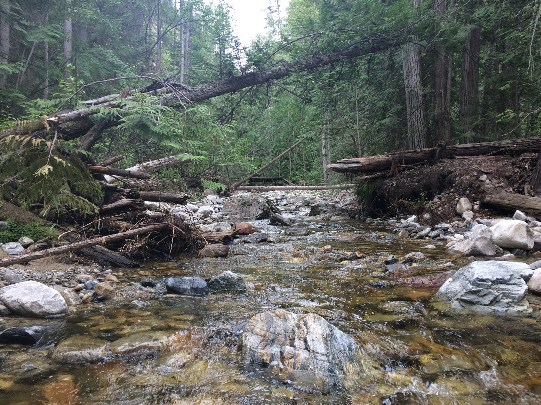 KLO Creek Regional Park
