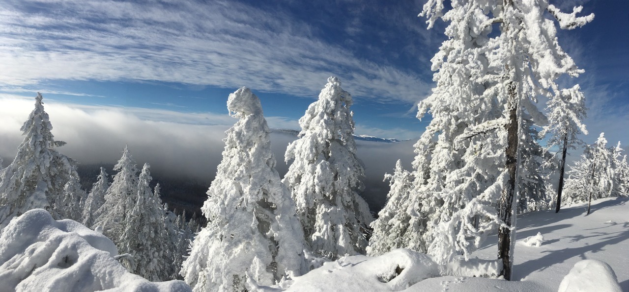 McKinney Nordic Ski Club – Snowshoe & Cross-Country Trails