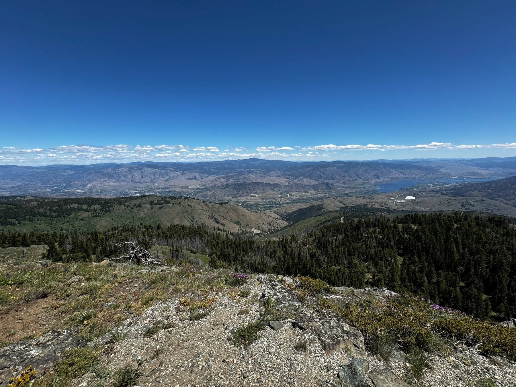 Mount Kobau