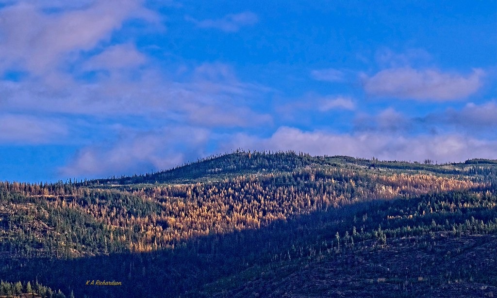 Okanagan Mountain Provincial Park