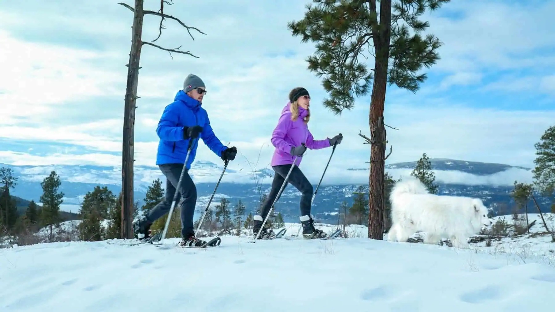 Predator Ridge Trails