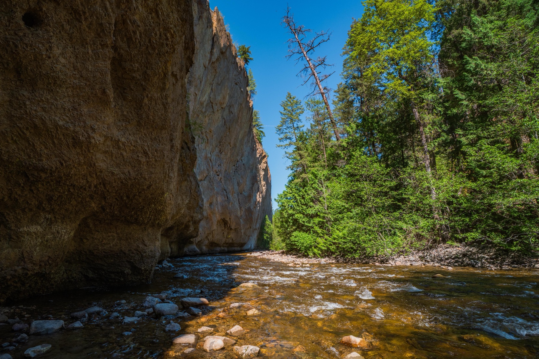 Scenic Canyon Regional Park