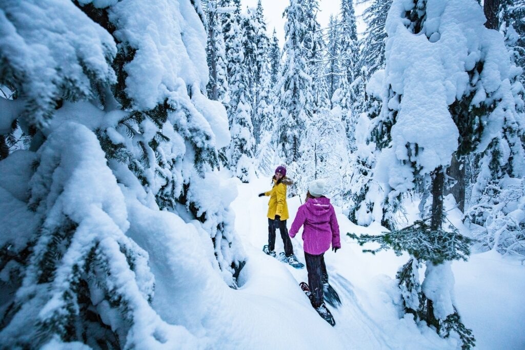 SilverStar Snowshoe Trails