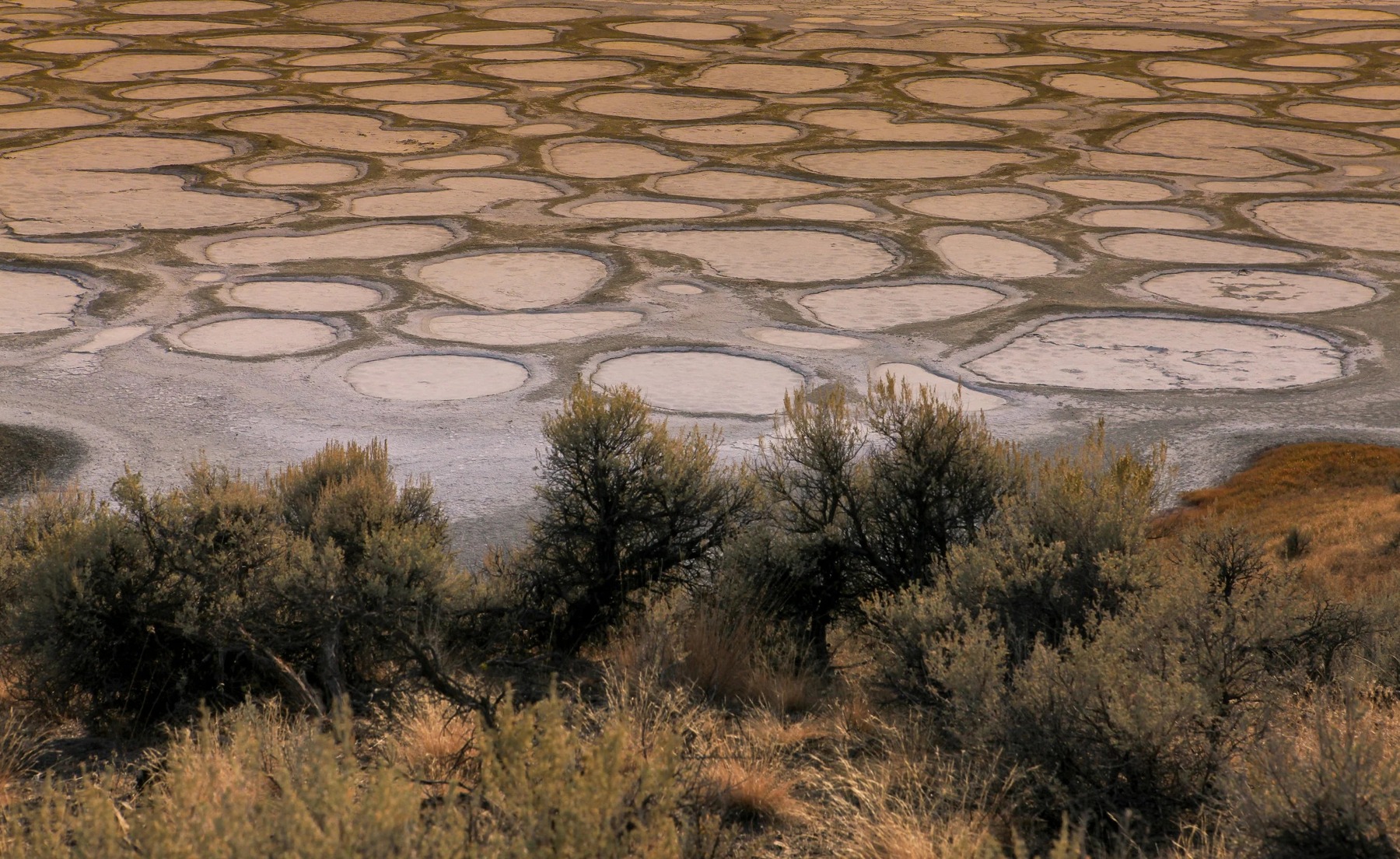 Spotted Lake (kłlilx'w) Viewpoint