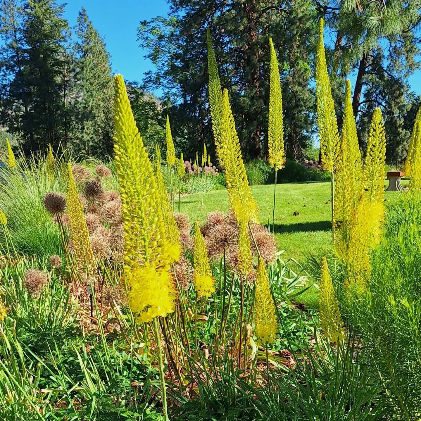 Summerland Ornamental Gardens