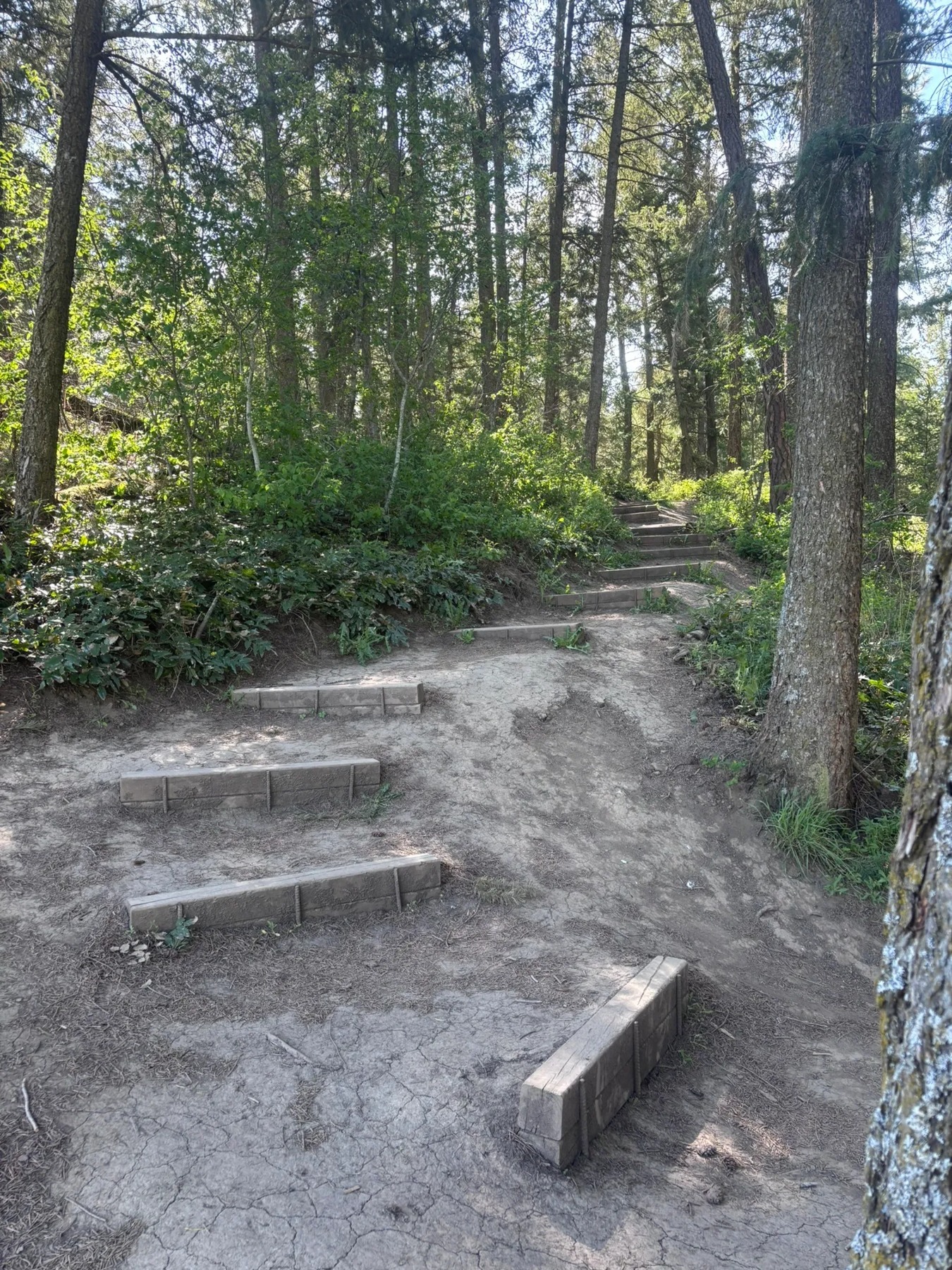 Thomas Hayes Ecological Reserve Trails
