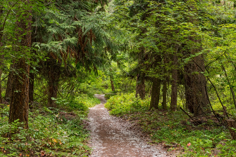 Woodhaven Nature Conservancy Regional Park