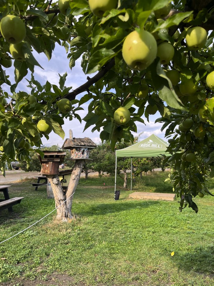 Rose Hill Orchard & Cidery – photo 5 sur 7