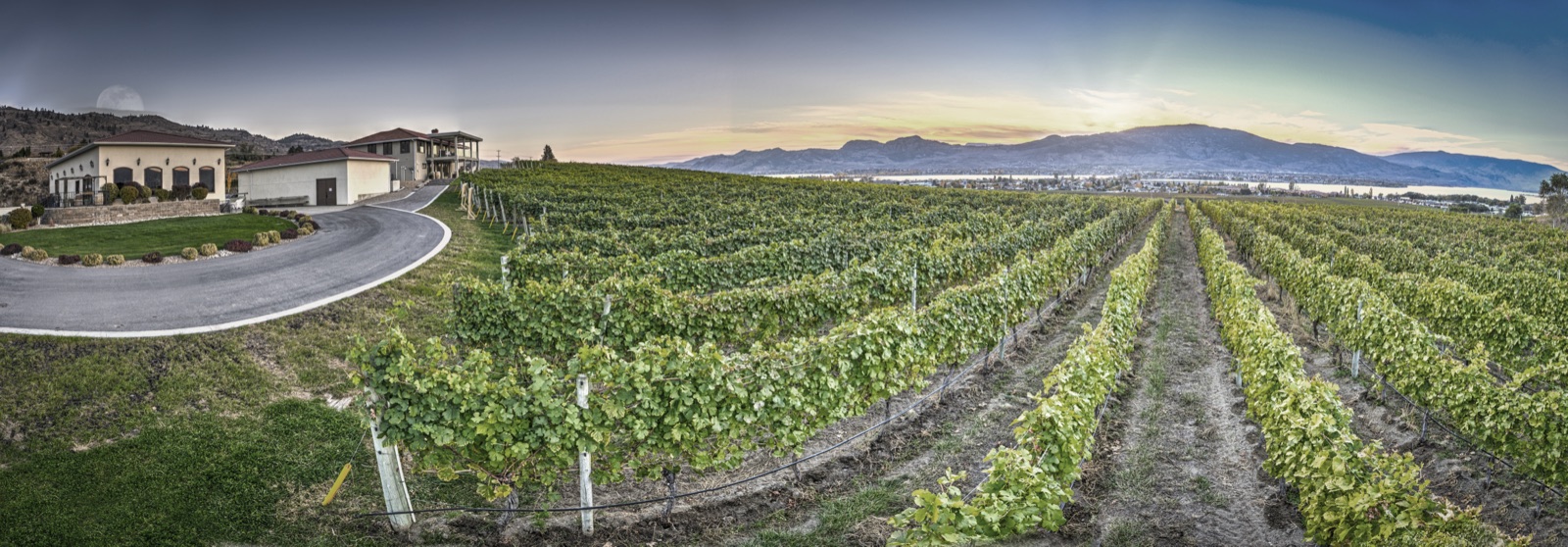 Moon Curser Vineyards – photo 2 sur 6