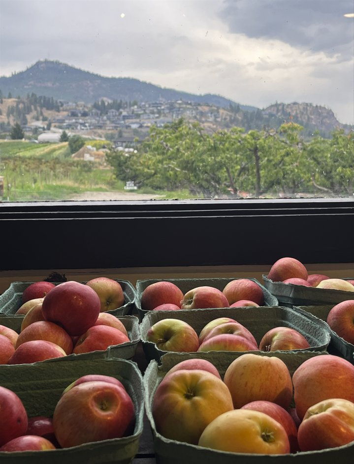 Rose Hill Orchard & Cidery – photo 7 sur 7
