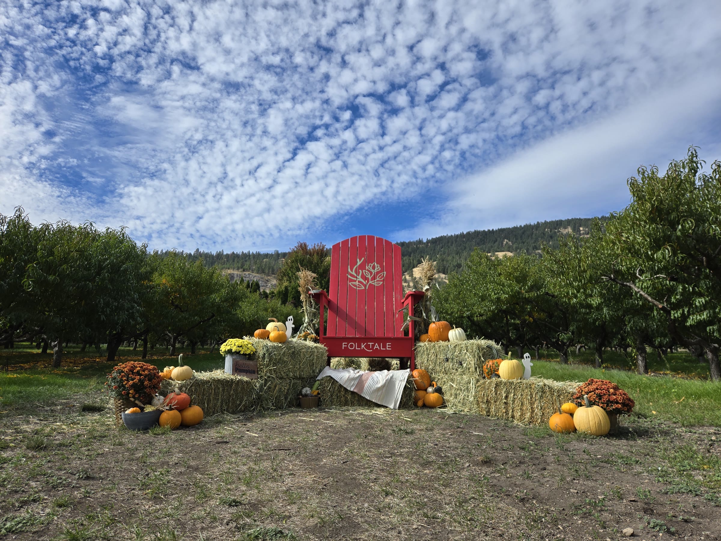Folktale Cider – photo 2 sur 5