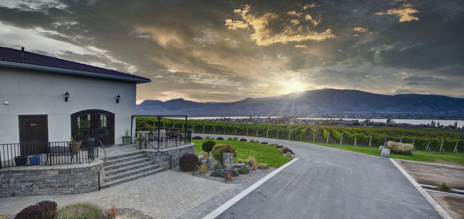 Moon Curser Vineyards
