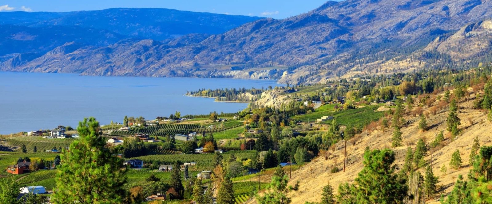 Orchards and vineyards on the Naramata Bench above Okanagan Lake