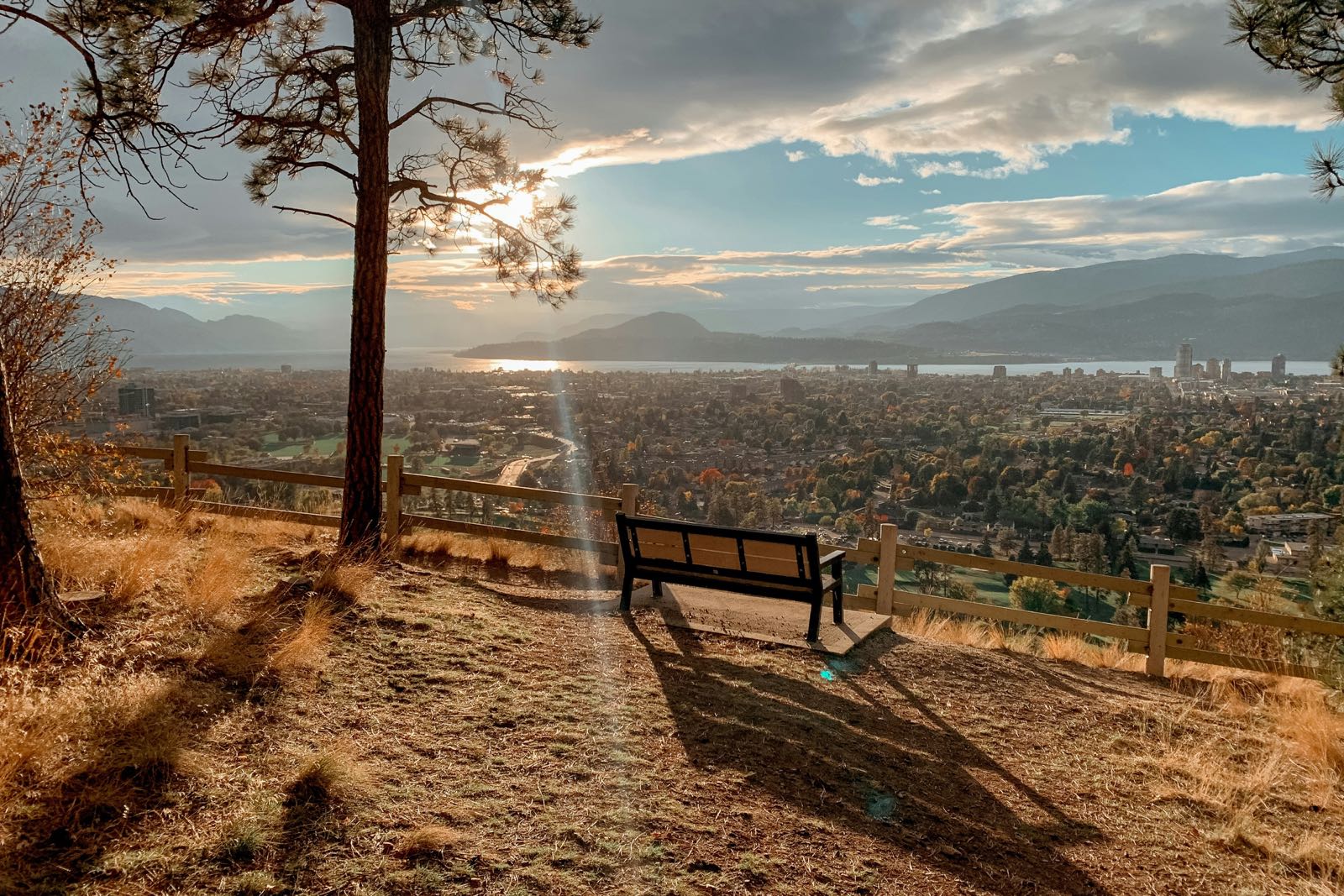Un banc sous un pin au sommet d’une colline dominant Kelowna et le lac Okanagan à l’heure dorée