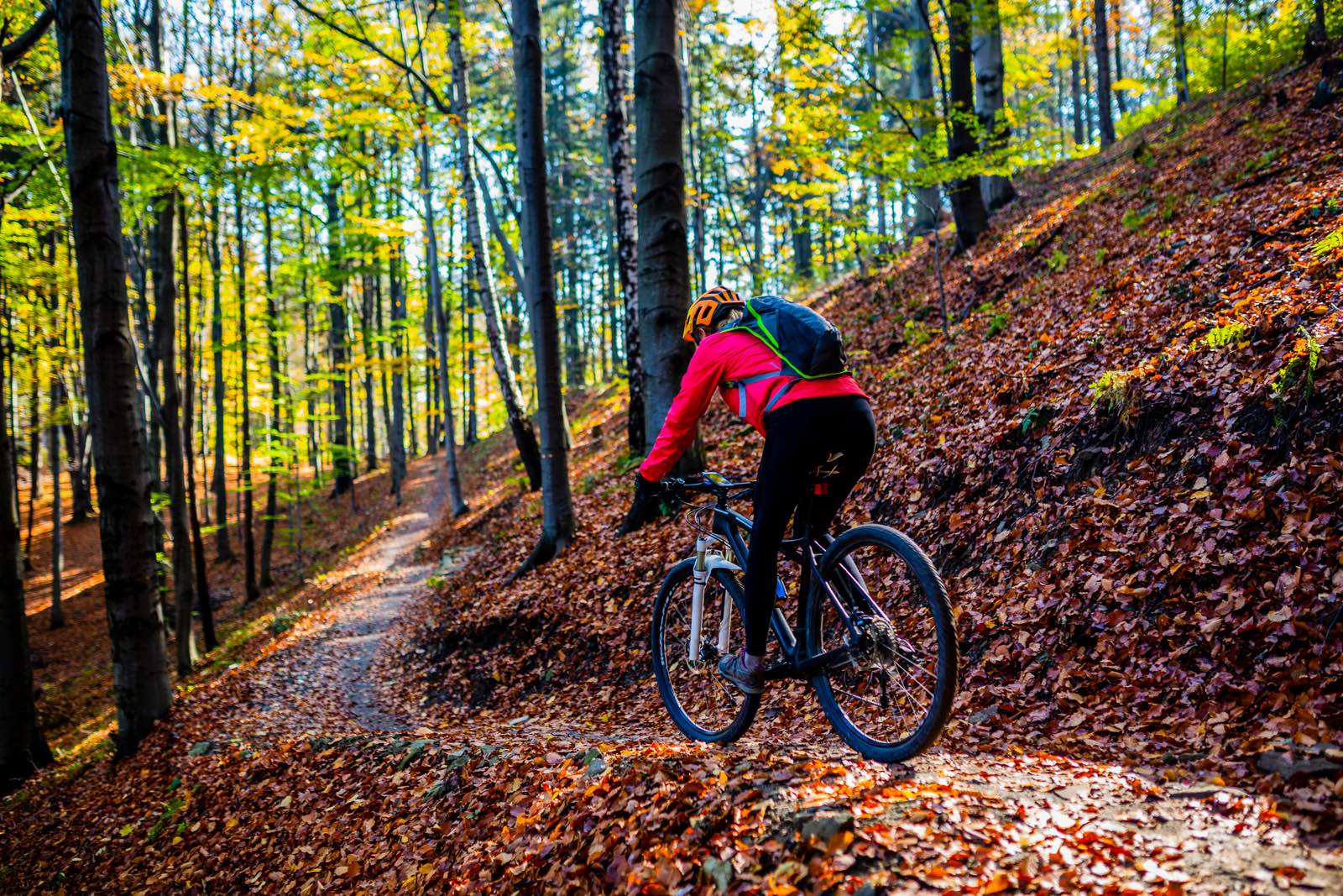 A mountain biker riding a leafy forest trail in autumn