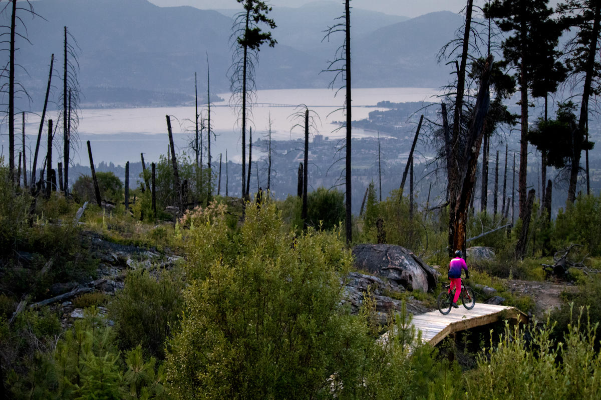 Gillard Trails