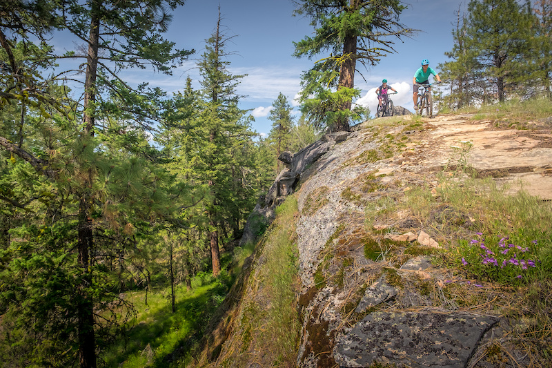 Three Blind Mice Trail Network