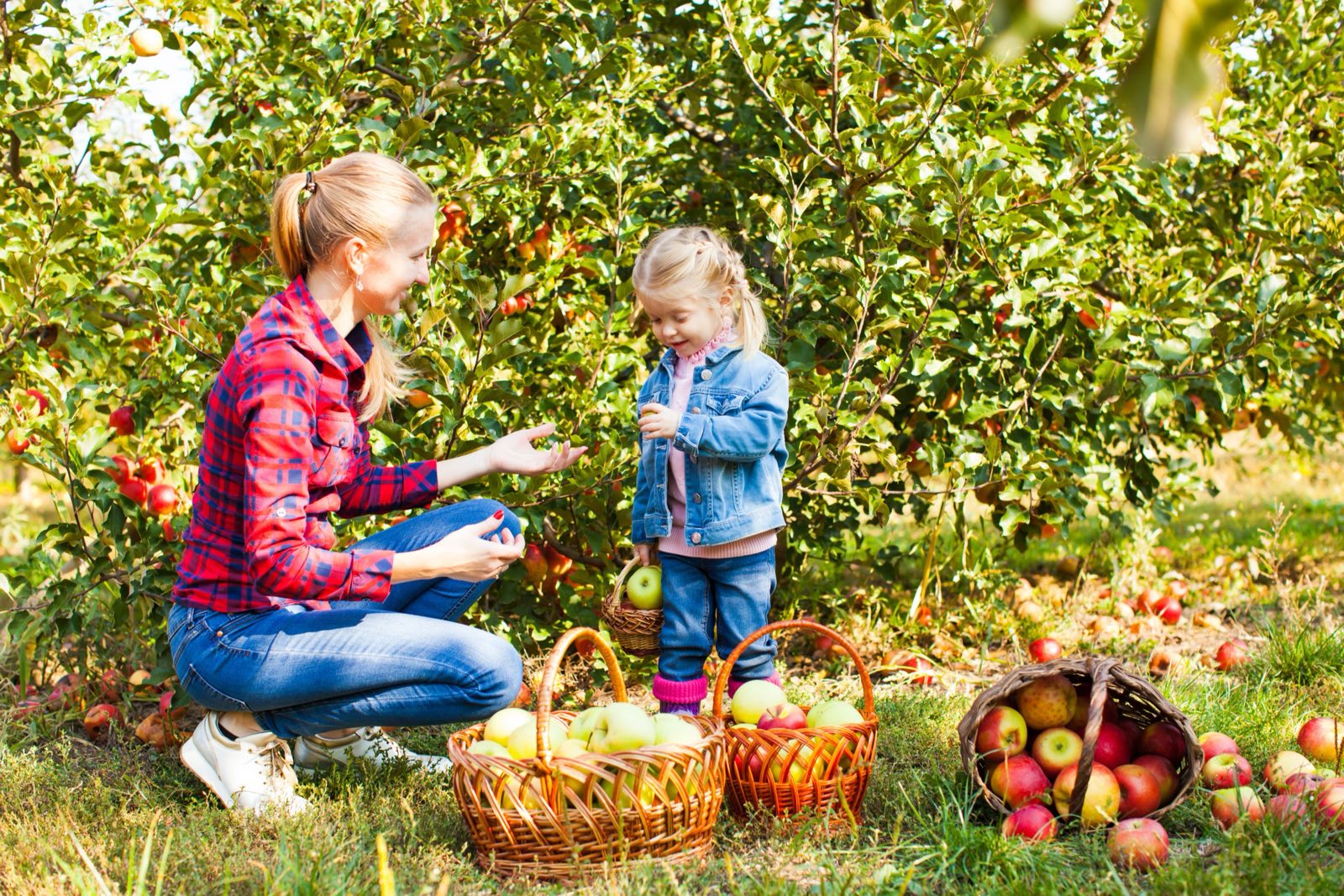 A woman and a girl picking apples in an orchard