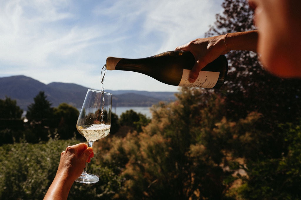 Aasha Wines