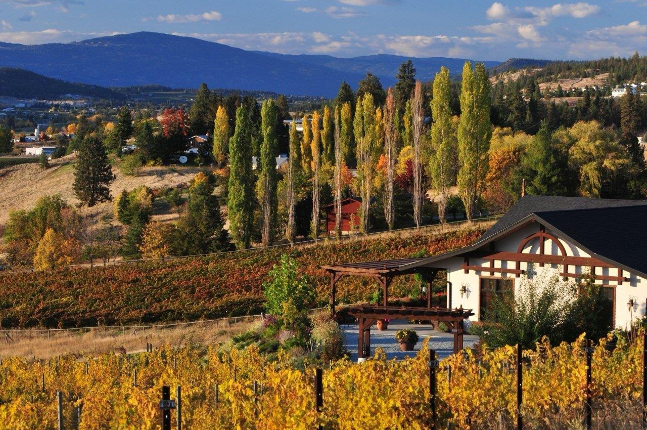 Ancient Hill Winery